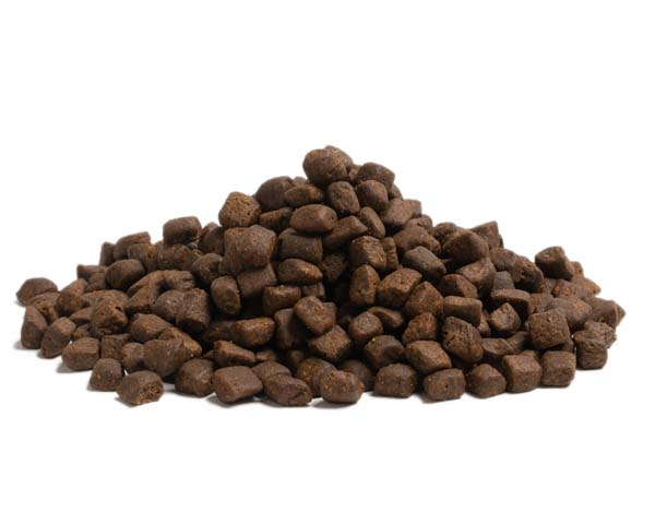 Essential Stamina 10 kg